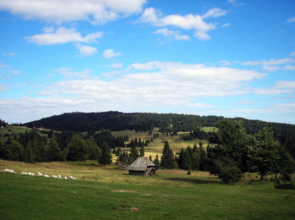Zaovine Konaci Zaovljanska Jezera 아파트 외부 사진