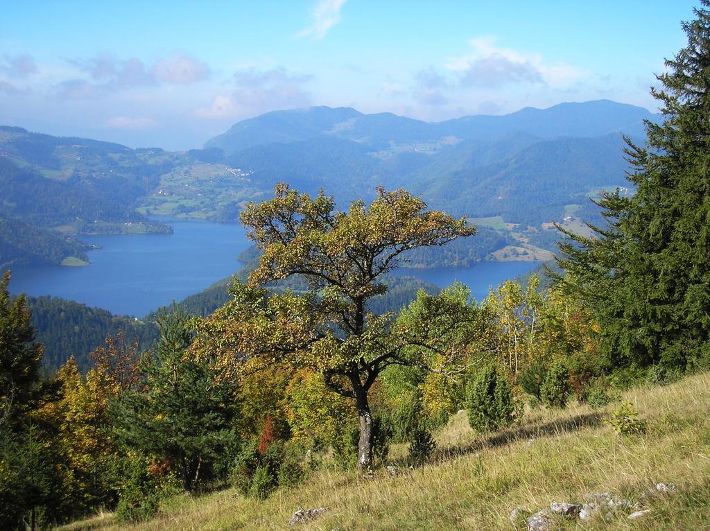 Zaovine Konaci Zaovljanska Jezera 아파트 외부 사진