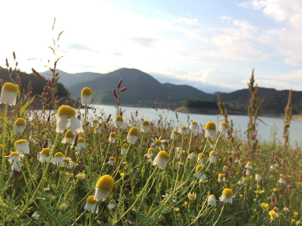 Zaovine Konaci Zaovljanska Jezera 아파트 외부 사진